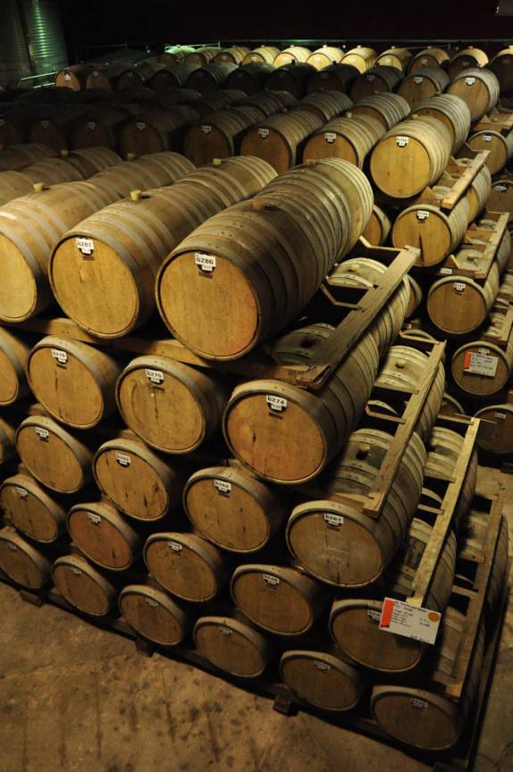 Destilaria Capel, grande produtora de Pisco, no Valle del Elqui, no Chile